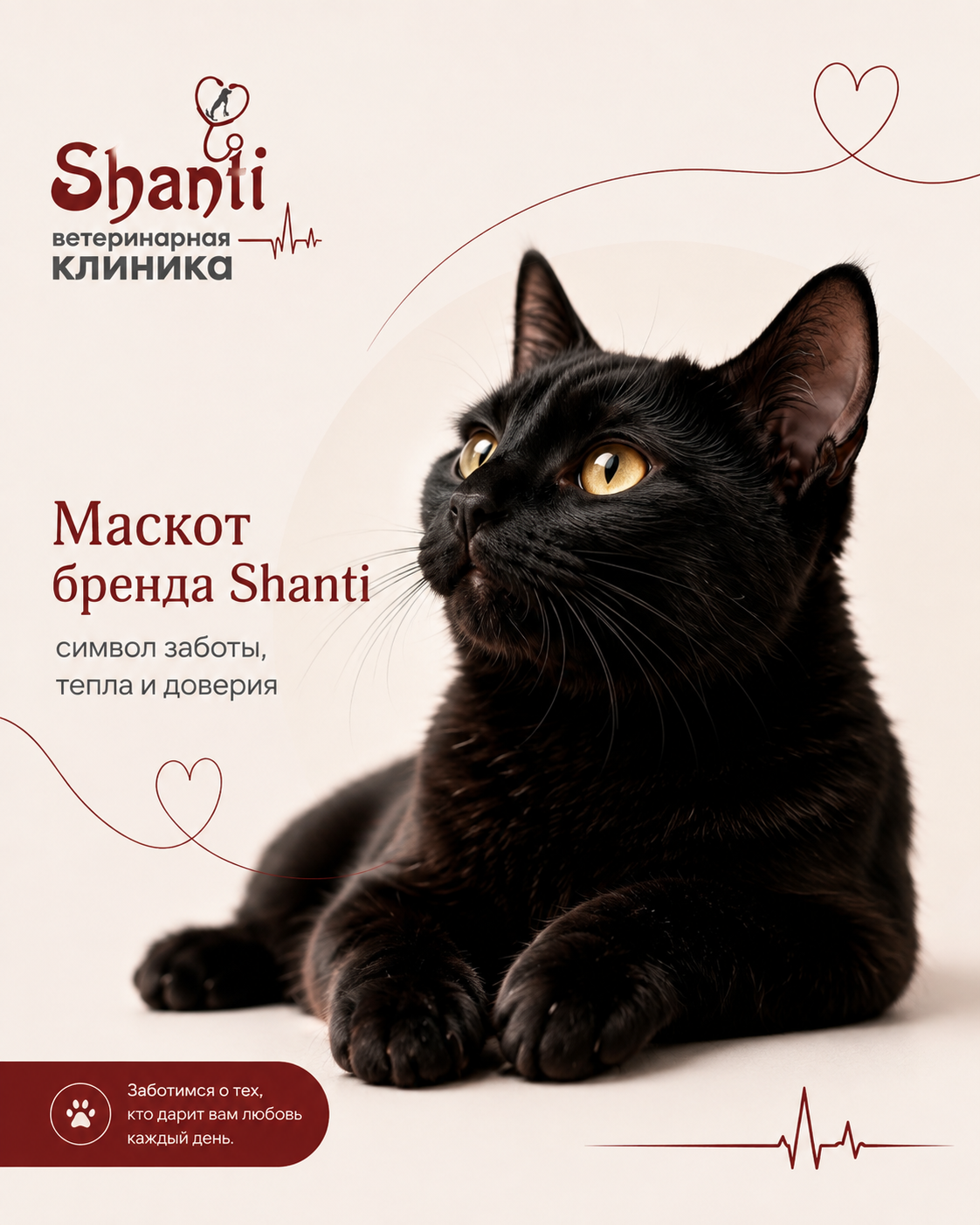 Черный кот Shanti